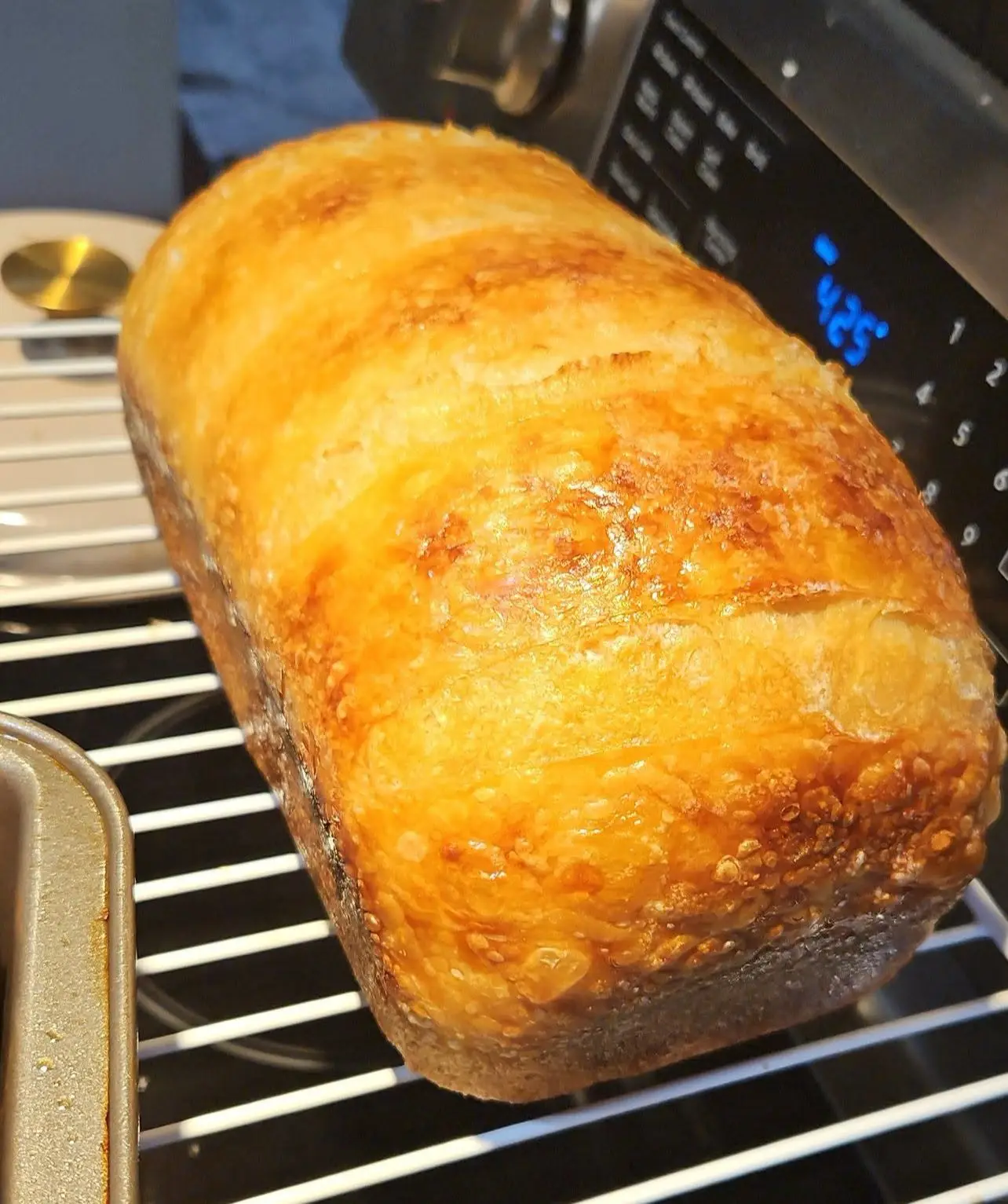 A deeply golden Holy Crumb sourdough sandwich loaf cooling on a rack.