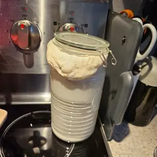 Holy Crumb sourdough starter active in a glass jar.