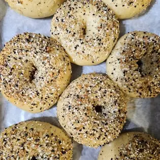 Holy Crumb everything-seasoned sourdough bagels.